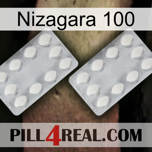 Nizagara 100 17